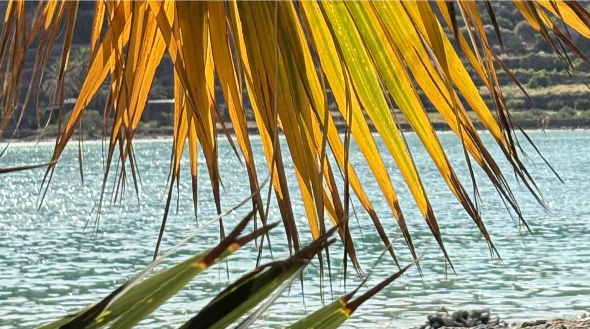 Your Skin After the Sun - What's Actually Happening, and What to Do About It