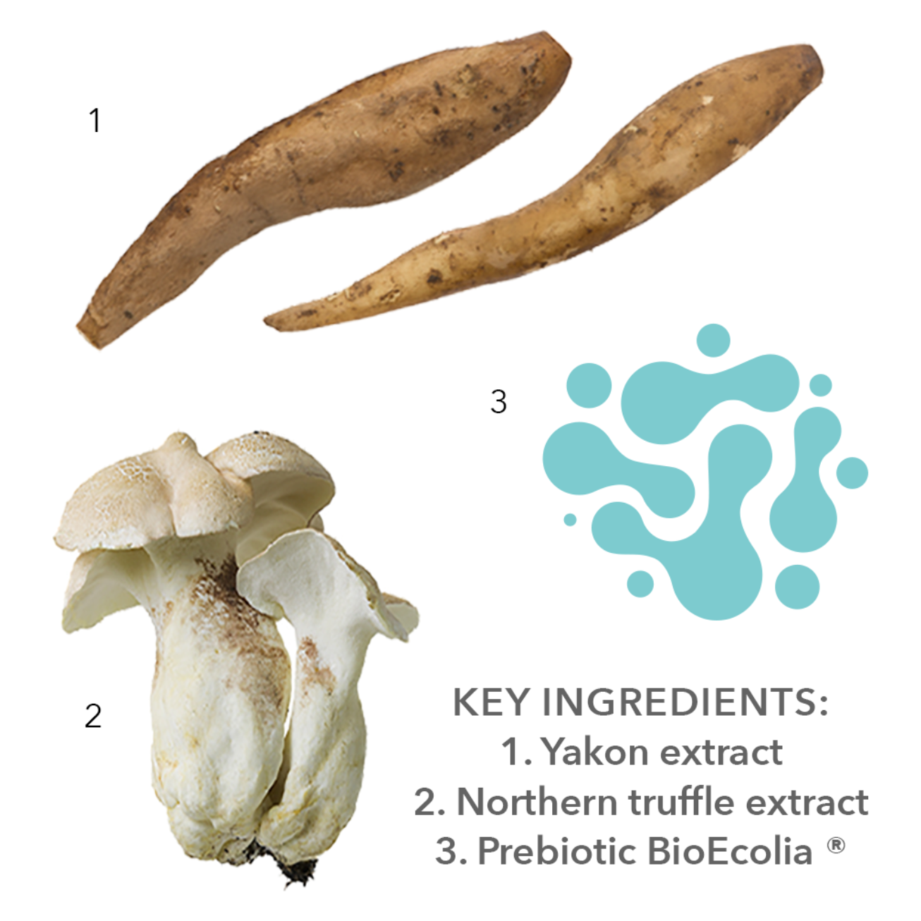 Pre-, Pro- & Postbiotics