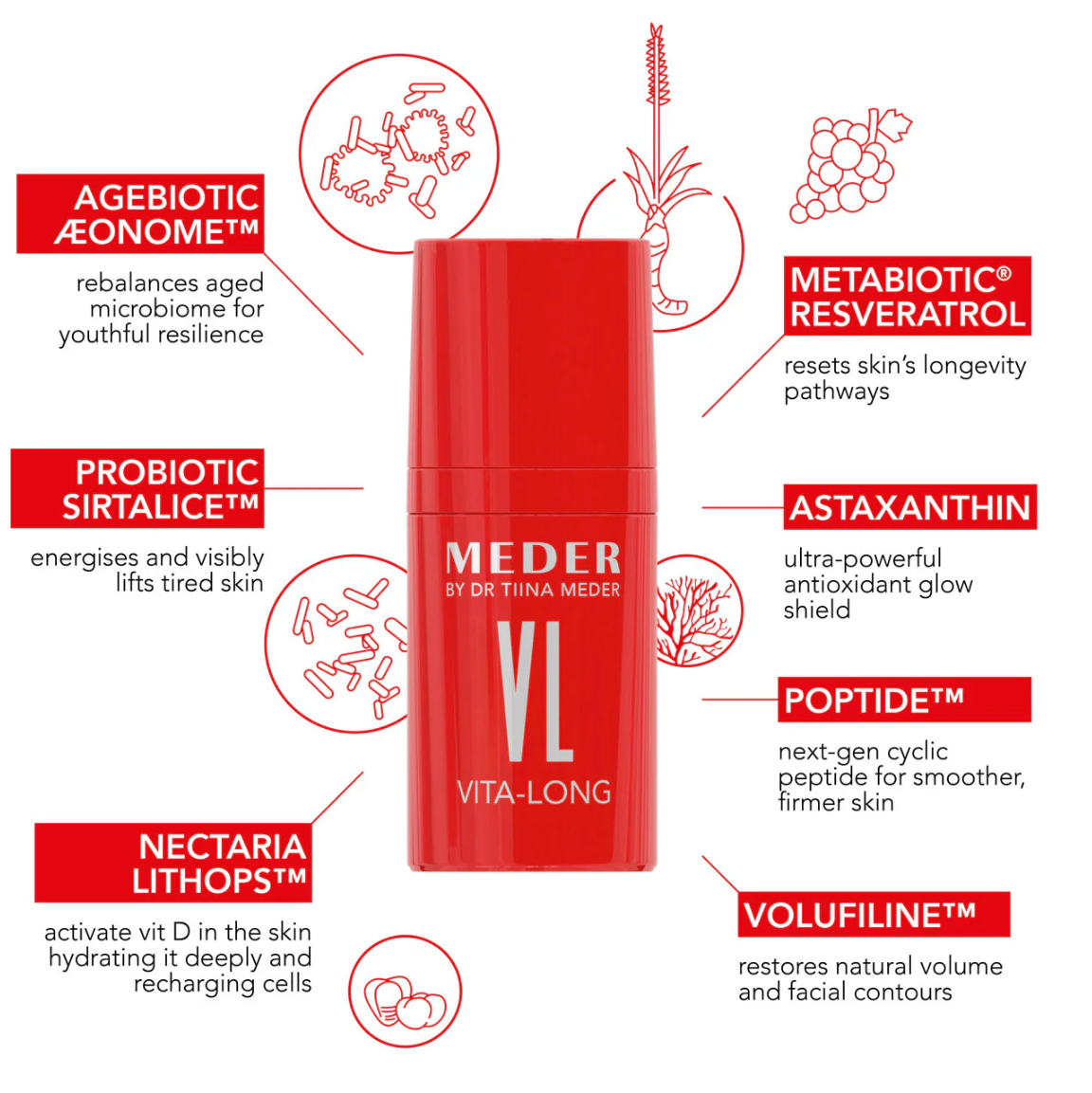 VITA-LONG Erweiterte Emulsion für Hautlanglebigkeit