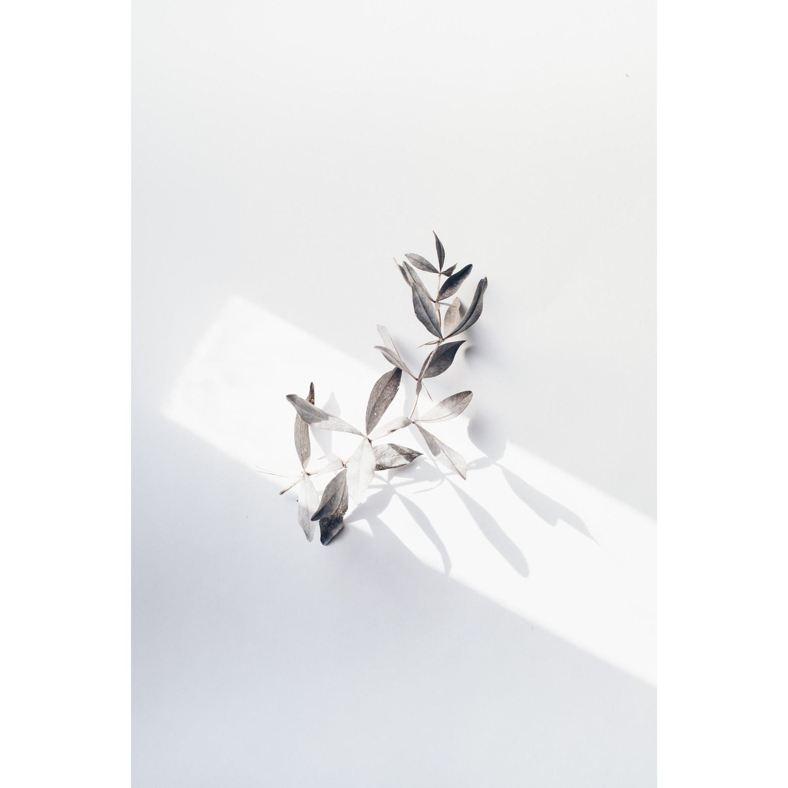 theFaceFace - Geschenkkarte