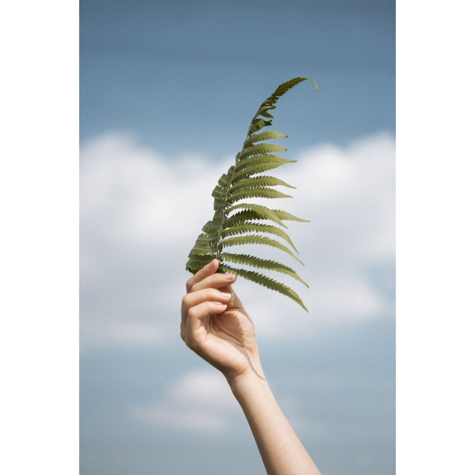 theFaceFace - Geschenkkarte