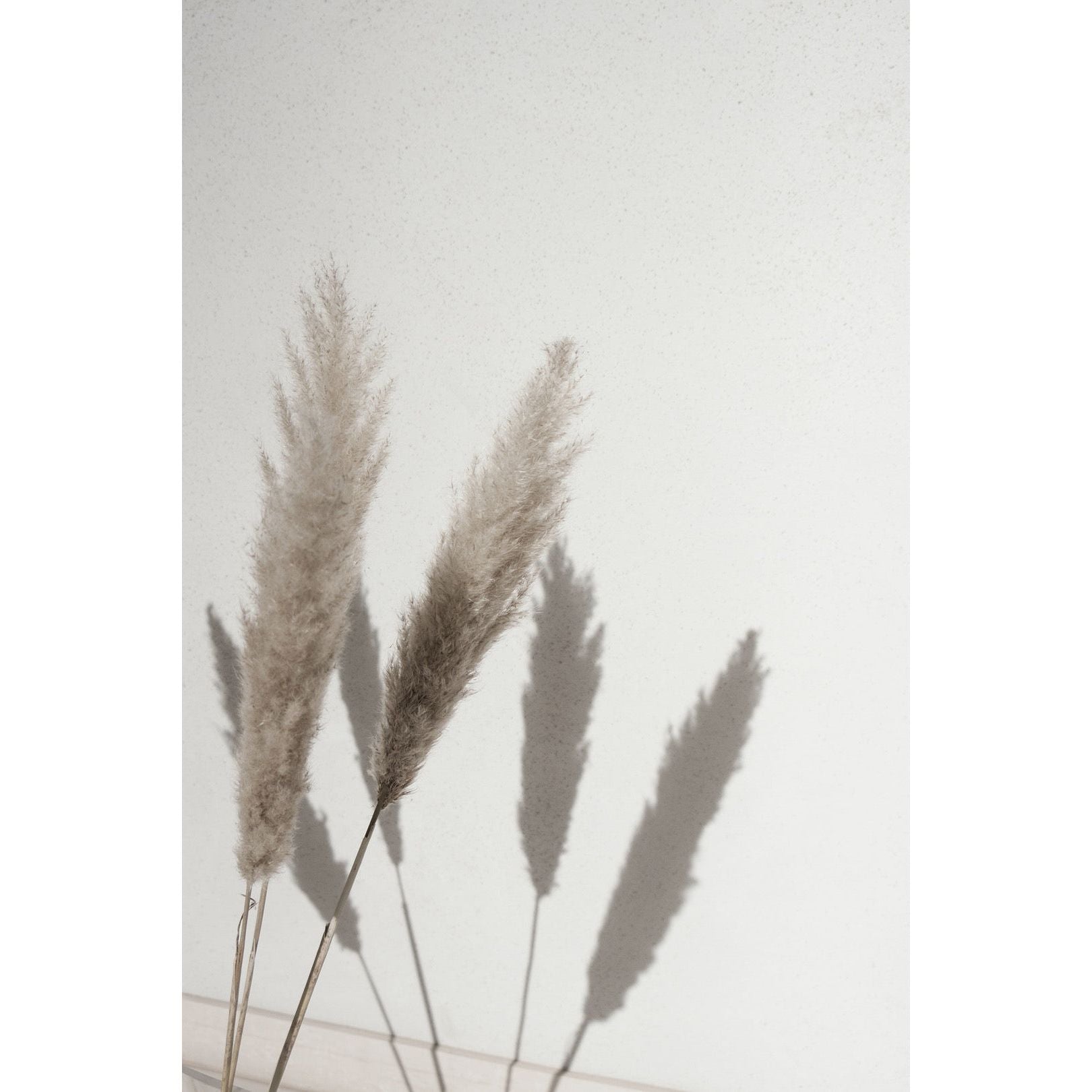 theFaceFace - Geschenkkarte