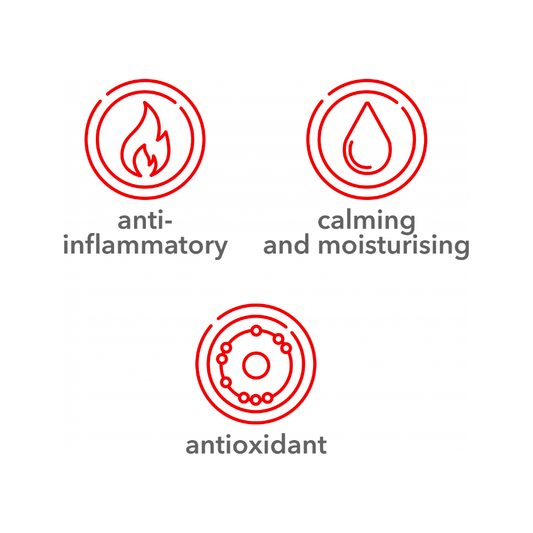 Soin-Apax Serum - Gentle Serum with Antioxidants