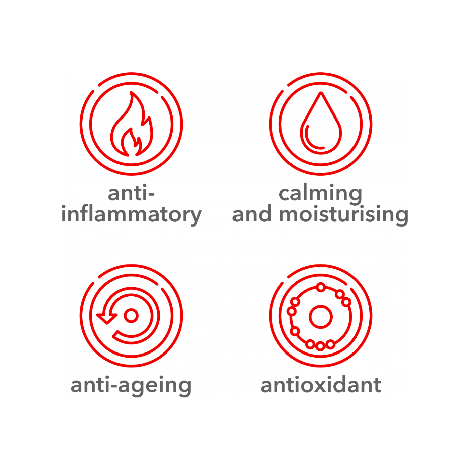 NRJ-Soin Serum - Rejuvenating Antioxidant Serum