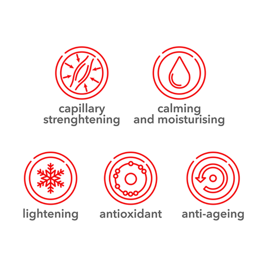 Blepharo-Light Eye Cream - Against Dark Circles and Puffy Eyes
