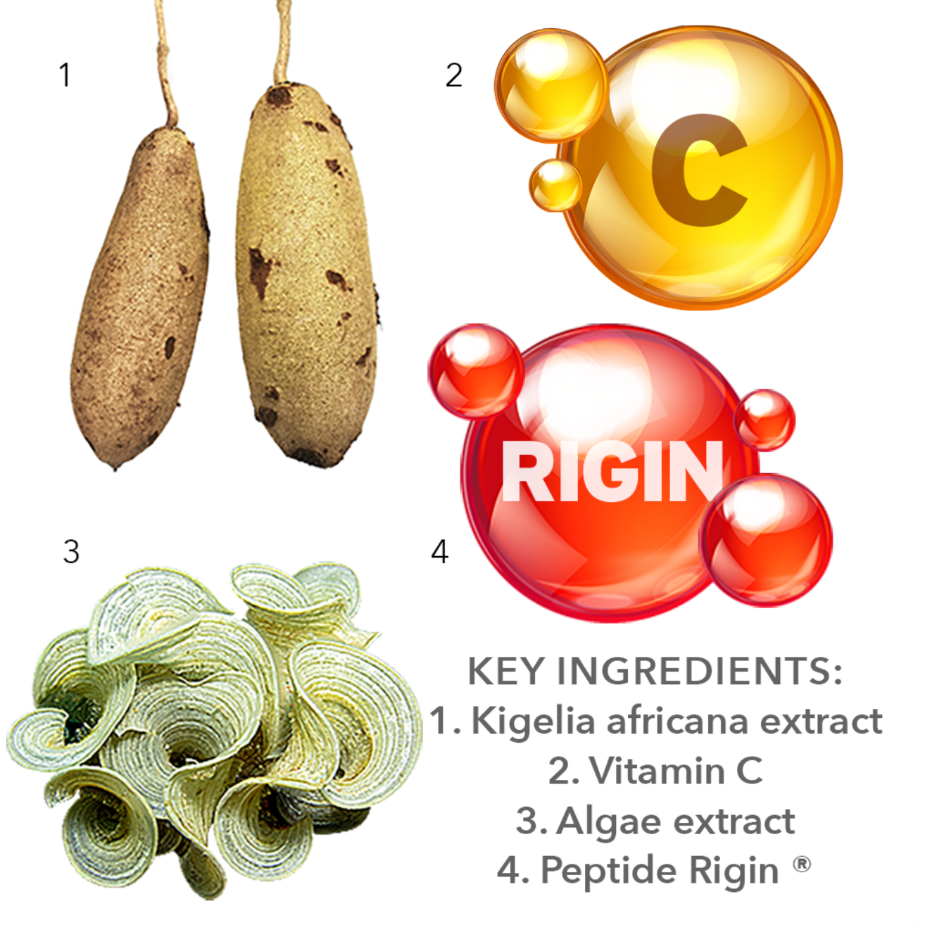 Arma-Bust Cream - Straffende Creme für Brust und Dekolleté