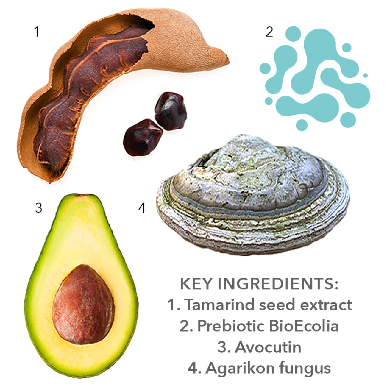 Equa-Derm Cream - Prebiotic Skin for Oily Skin