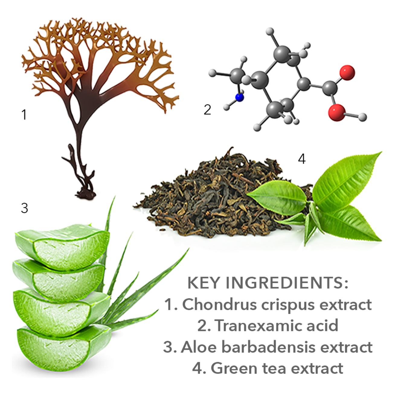 EU-Seb Mask - Beruhigende Anti-Akne-Maske