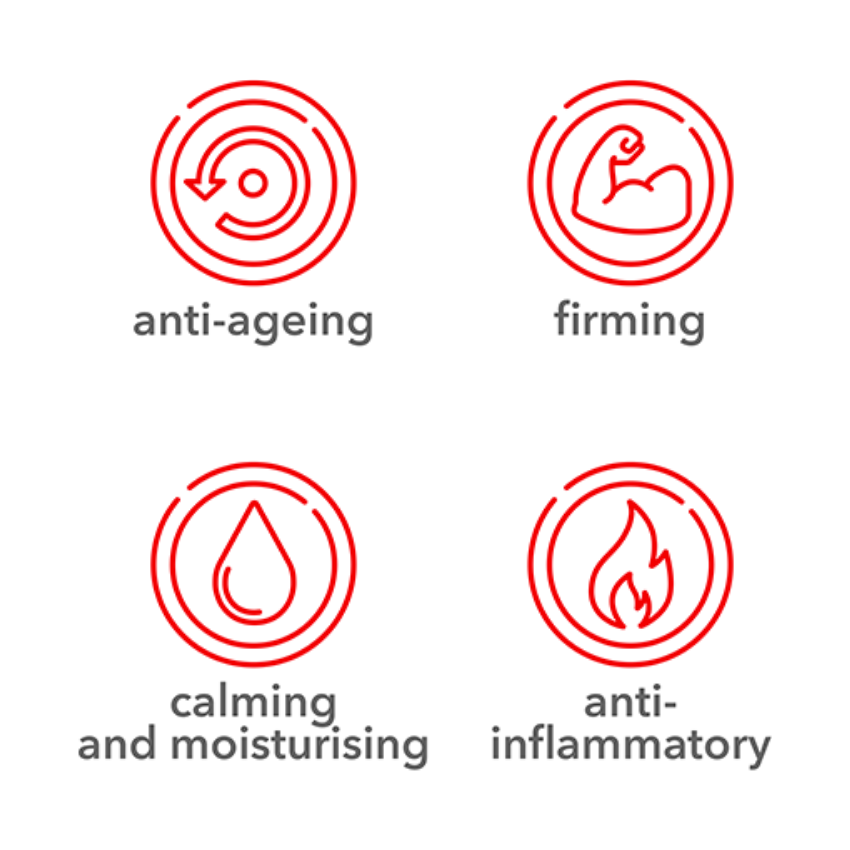 Hydra-Fill Mask - For Deep Skin Hydration