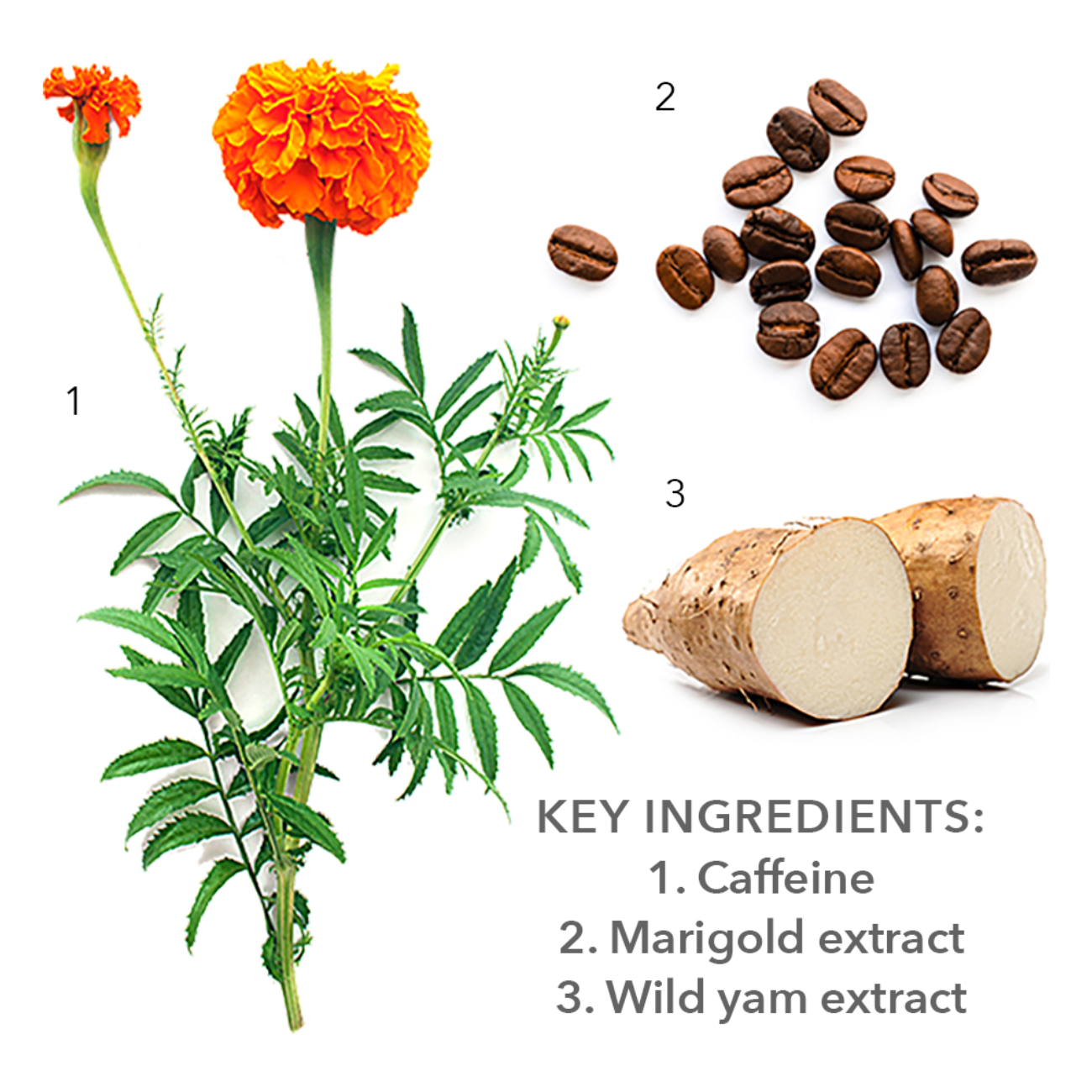 Lipo-Oval Mask - Anti Aging with Firming Effect