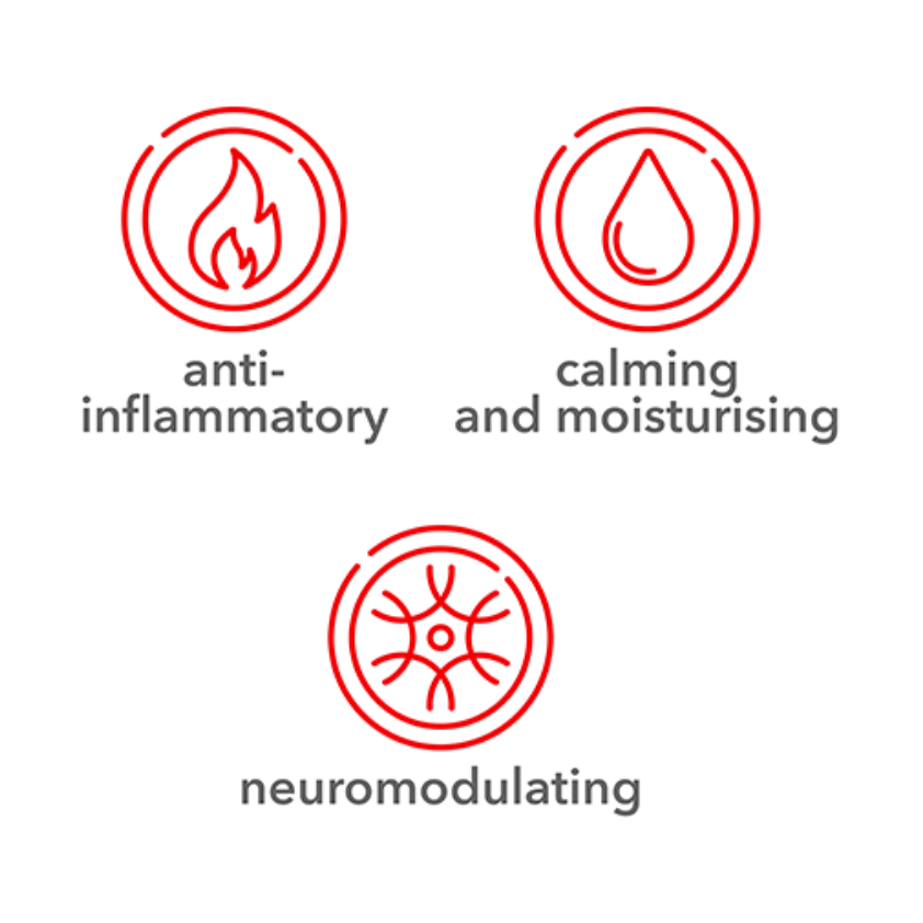 Myo-Fix Mask  - For the Correction of Expression Lines