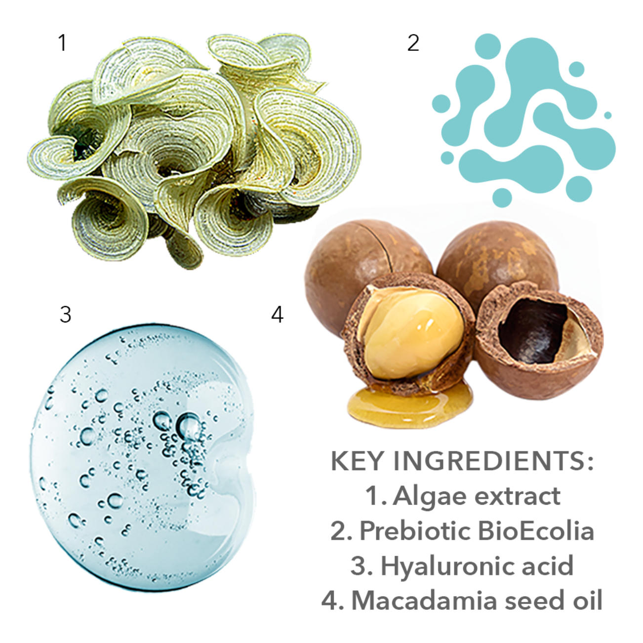 Salva-Derm Cream - Prebiotic Cream for Normal and Sensitive Skin