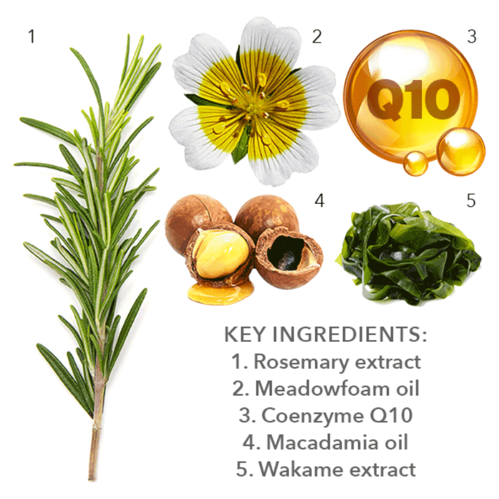 Vita-Long Oil - Epigenetic, Skin Rejuvenating Oil